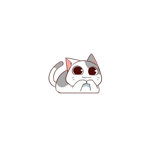 lovely, cat, cute cat, colorful cat animation