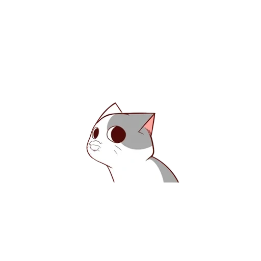cat, seal, baby seal, baby seal, colorful cat animation