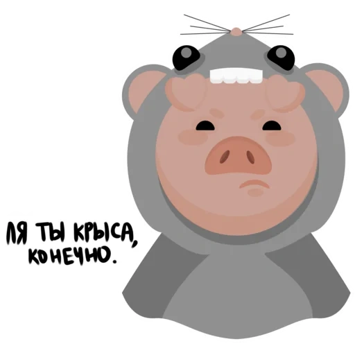 pig, pig's face, pig face