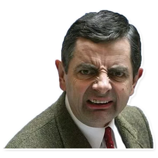 mr bin, rowan atkinson