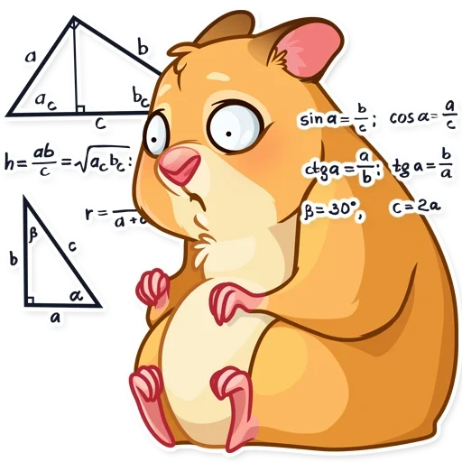 hámster, hámster, sr hamster