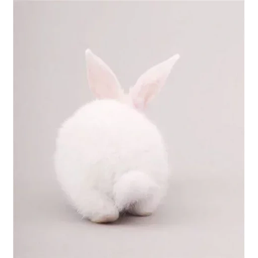 рам кролик, кролик милый, белый кролик, кролик большой, пушистый кролик