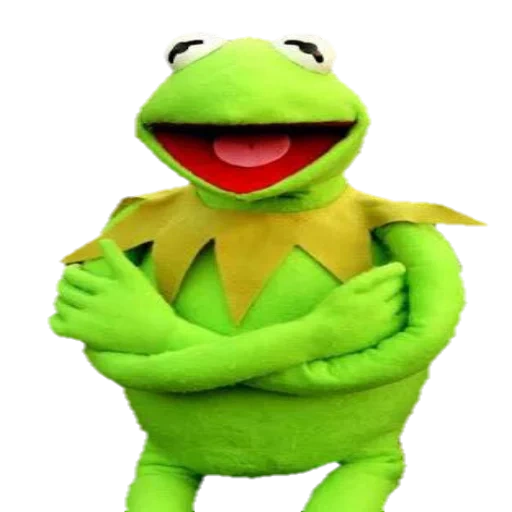 kermit, frog cermit, doll frog cermit, soft toy frog, the frog kermite toy