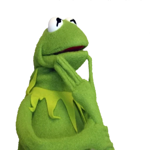 katak kermite, katak cermit, katak kermit sedang tidur, katak kermit marah, estetika katak cermit