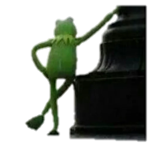 kermit la rana, kermit la rana, frog kermit meme, frog kermit waits, frog kermit aspetta meme
