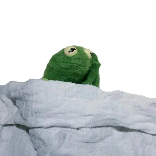 kemit, to sleep, sometimes, kermit meme, couverture de kermit la grenouille