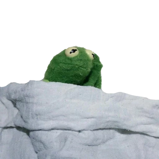 kermite, to sleep, sometimes, kermit meme, the frog kermite blanket