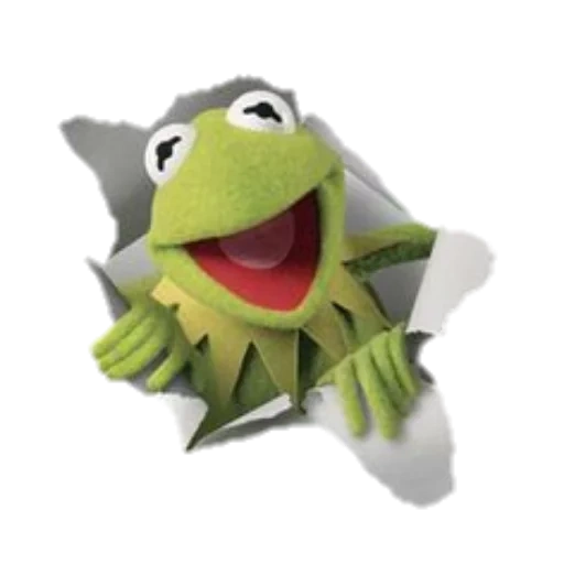 kermit, kermit, spettacolo di muppet, kermit la rana, sesame street frog kermit