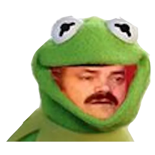 sapo, sapo kermite, os sorrisos do cérmito, cerme de sapo, sapo verde kermit