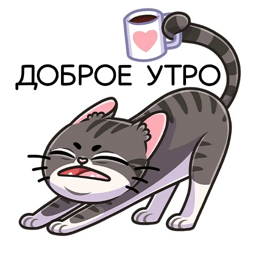 кот, коты, муркс, доброе утро, кот доброе утро