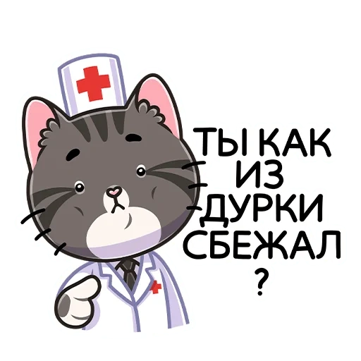 katze, kitty doctor, kitty medic, pushin kat doctor, süße katzen von katzen