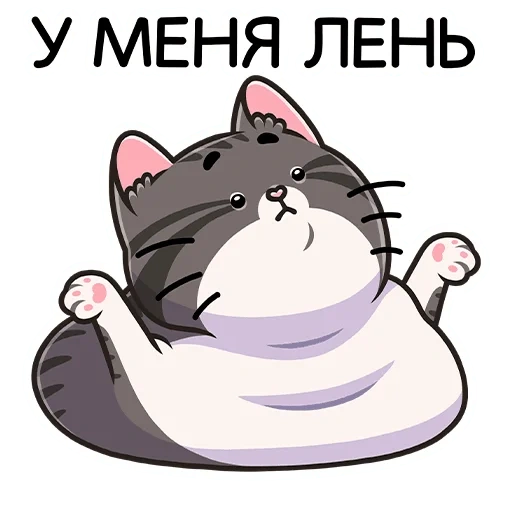 муркс, кошка, милые, ami fat cat