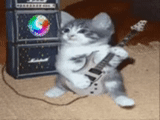 кот, кот гитарой, кот гитарист, кот гитарой мем, кот электрогитарой