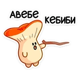 mushroomsvk