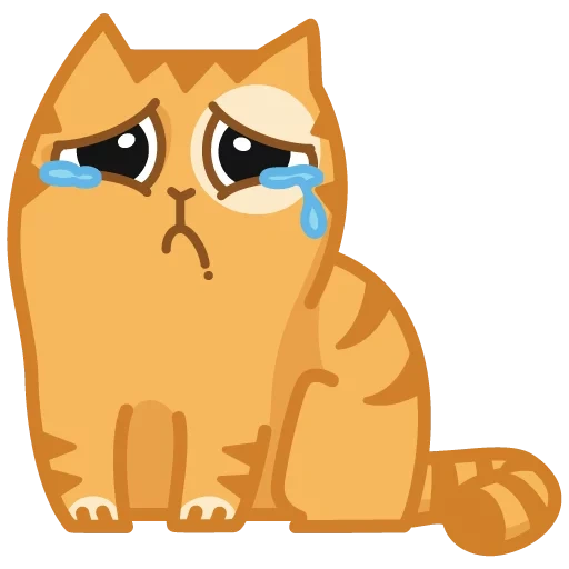 кот, грустные, кот персик, обиженный кот