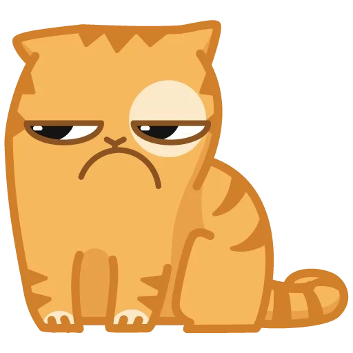 peach, cat persik, a thoughtful cat, persian cat is angry