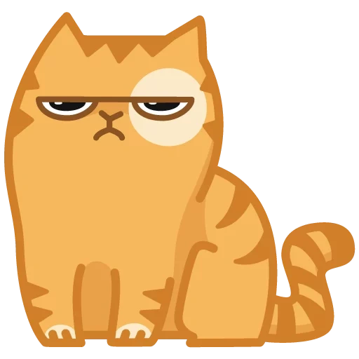 cat persik, kitty souriant, chat insatisfait, cat persik est mécontent