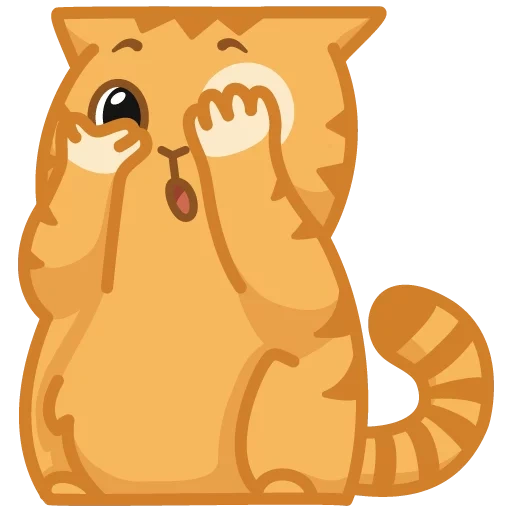 cat, ginger cat, cat persik, cat persian