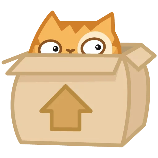 cat, cat, cat persik, persian cat, cat peach box