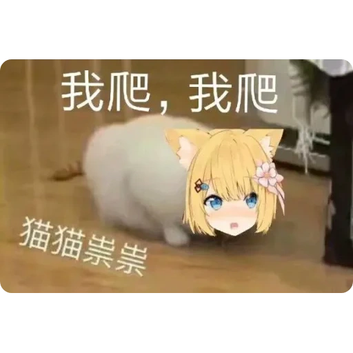 internal medicine, animation, neco moe, anime neko, anime girl cat