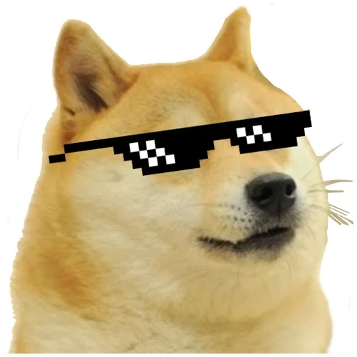 doggi, thug life, doge dog, doge adidas meme