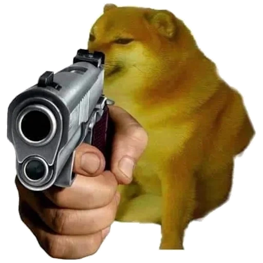 meme de cachorro, o cachorro com uma pistola, presente do dia do pai