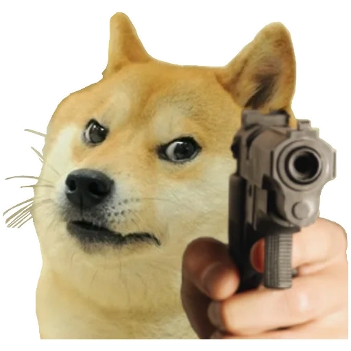 doge, doge meme, a meme with a dog, doge shooter, siba iu meme