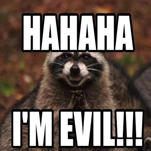 raccoons, evil raccoon, the meme is cunning, a cunning raccoon, evil raccoon meme