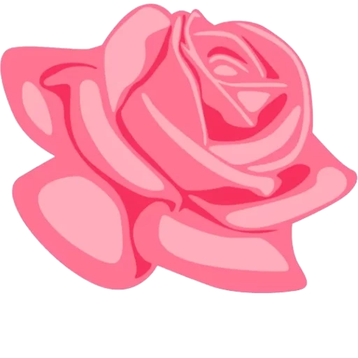 розовые розы, вектор роза, розовые розы цветы, розовые цветы, красная роза
