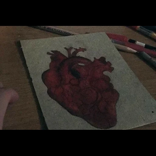 рисунок, ziyoligim, сердце анатомия, человеческое сердце, человеческое сердце анатомия