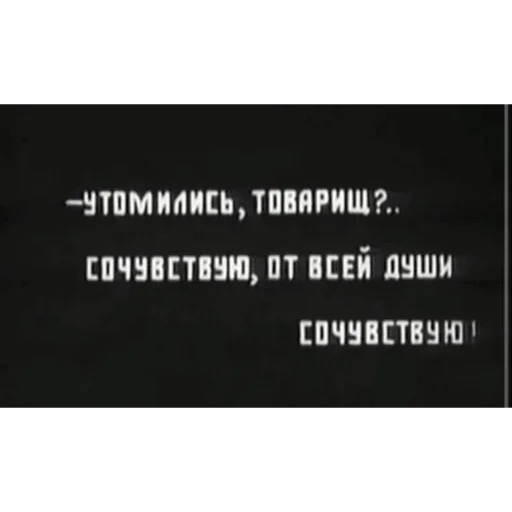 цитаты, задача, цитаты надписи, цитаты смешные, самые смешные цитаты