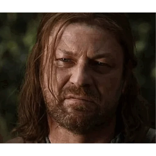 el hombre, estoy llorando, eddard stark, meme de lealtad, eddard stark sean