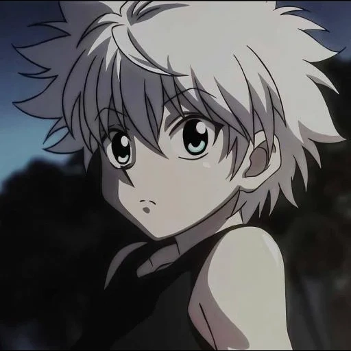 killua, киллуа, киллуа убийца, хантер киллуа, хантер х хантер киллуа