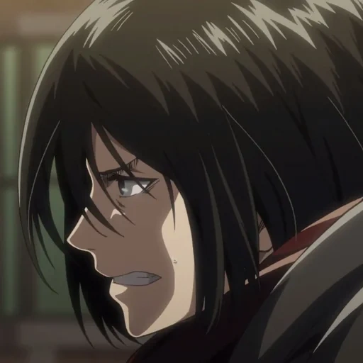 mikasa, атака титанов, микаса аккерман, attack on titan mikasa, микаса аккерман атака титанов