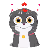 illustrated cat, illustrator cat, cat illustrator, cartoon of cat head