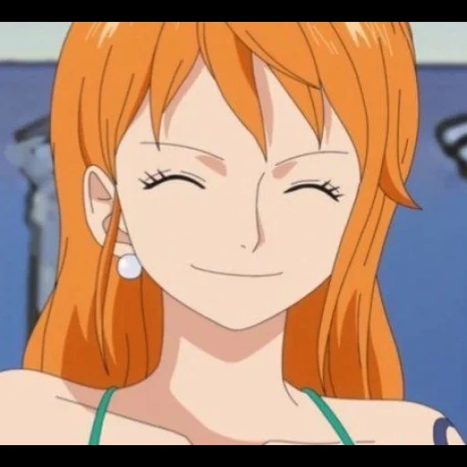 nami, un pezzo, un pezzo luffy, van van pis 18, we van pis fan service