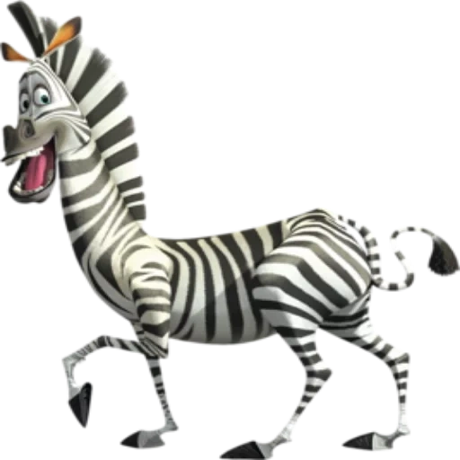 the zebra, marty zebra, auf transparentem hintergrund, zebra transparenter boden, transparenter background