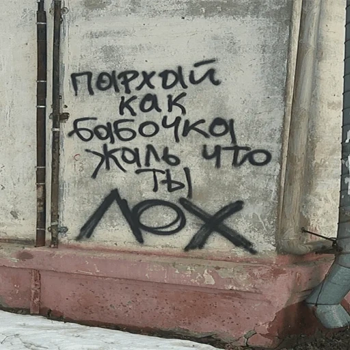 humor, gracioso, inscripción, inscripción en la pared, destrucción de graffiti