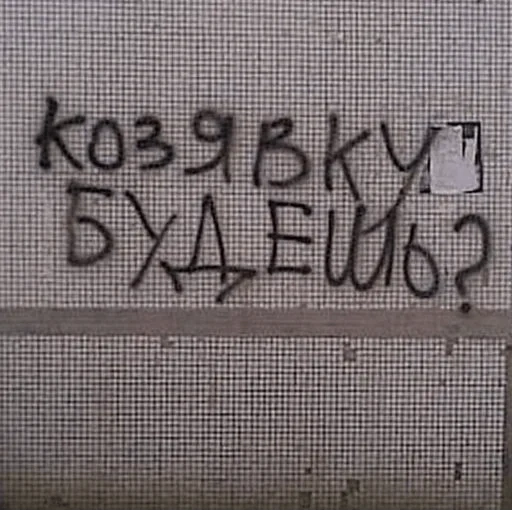 texto, inscrição, inscrição na parede, inscrição sobre lesmas, gravura na parede suja