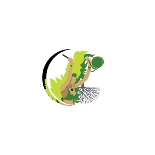 мужчина, попугай птица, грифон попугай, дракон логотип, эмблема зеленая