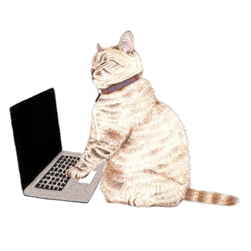 котик с ноутбуком арт, кот стикер, котик за компьютером, кот, кошка