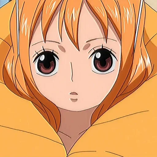 nami, anime, ragazze anime, personaggi anime, anime studio toei animation