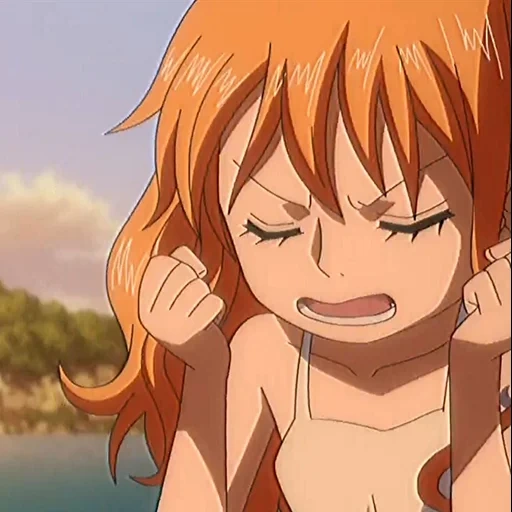 nami, animação é fofa, personagem de anime, animação do rei ladrão, van pis nano small