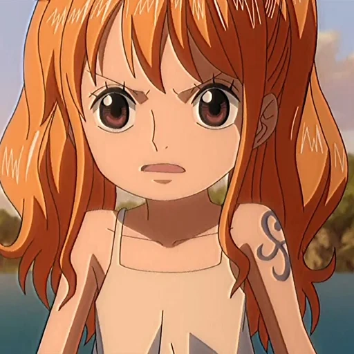 nami, animação é fofa, personagem de anime, filme nami van pis 12, van pis nano small