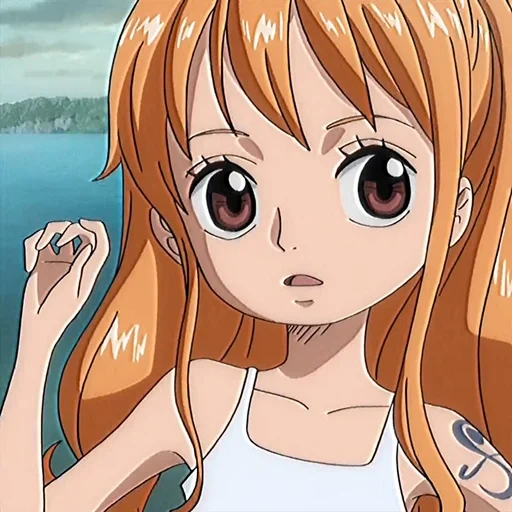 nanometer, van pease, cartoon character, anime one piece, nami van pis 12 movies