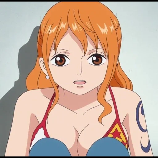 nano, name of translators, one piece nami, nami van pis 18, anime fan heping nami