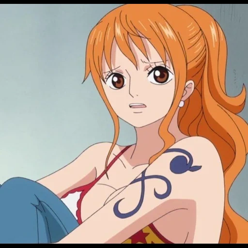 nanometer, van pisi nanometer, van pistoy, anime fan heping nami, nami after time skip