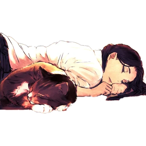 kucing, anime anime, seni tidur kucing, sleeping cat art, perusahaan seni levi ackerman