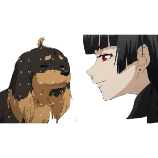 anime des chiens, psime anime, personnages d'anime, personnages d'anime, ciseaux de chien inu à hasami wa tsukaiyou