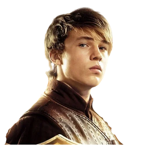 narnia, the chronicles of narnia, peter pevensi chronicle narnia, narniy chronicle edmund peter caspian